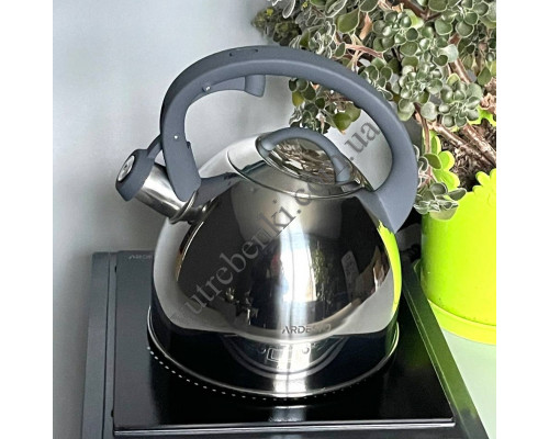Чайник Ardesto Gemini Cremon 2,5 л., з нержавіючої сталі