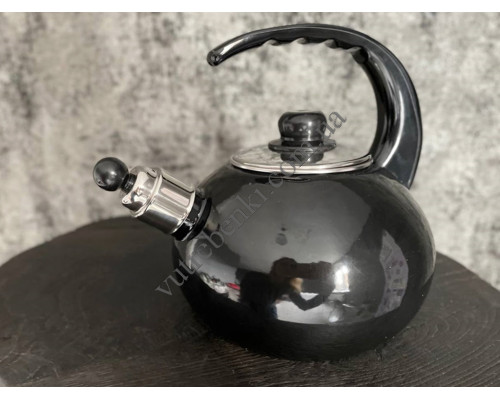 Чайник емальований Kamille 2,5 л. чорний зі свистком, пластикова ручка