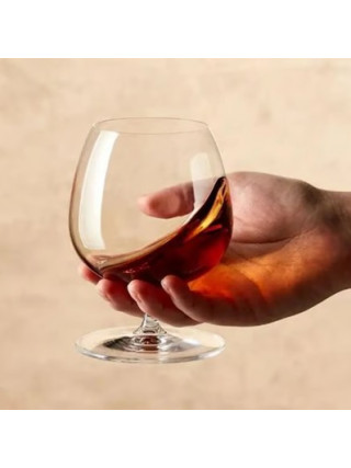 Набір келихів Nude Vintage для коньяку v-500 мл (под.уп.) 2 шт