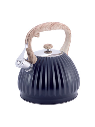 Чайник Kamille 3,0 л. із нержавіючої сталі зі свистком і нейлоновою ручкою