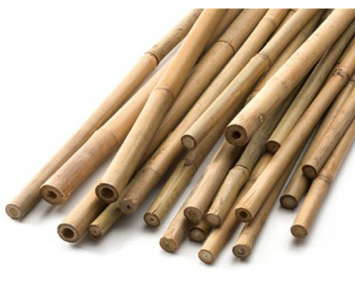 Опора бамбукова товста d-10-12мм, h-120см
