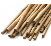 Опора бамбукова товста d-12-14мм, h-150см