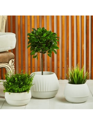 Вазон "Бохо" d21 (біла роза) 4.5 л