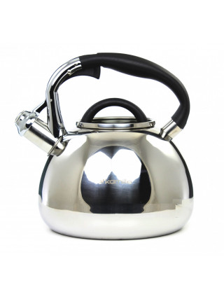 Чайник Kamille 2,8 л. з нержавіючої сталі зі свистком і чорною бакелітовою ручкою
