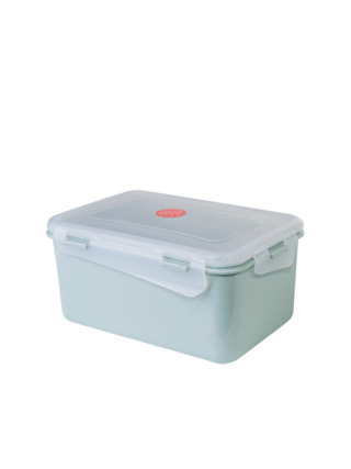 Контейнер універсальний "Фієста" (прямокутний) 0,65 л. (полин/прозорий)