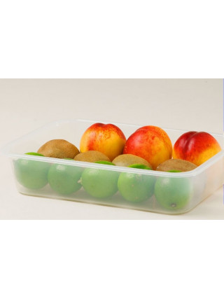 Лоток універсальний №1 ПРОЗОРИЙ 22*30,7*6,5 см