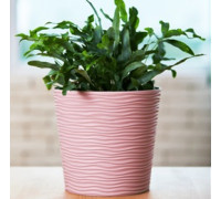 Вазон "Ф'южн" зі вставкою низький d-30*28,5 см. (граніт)