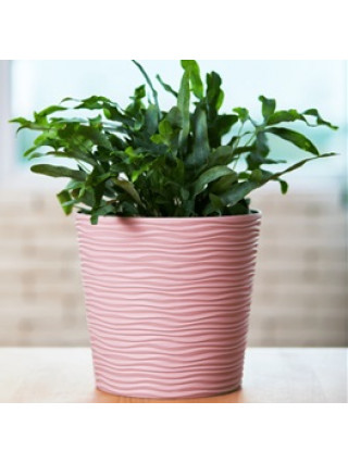 Вазон "Ф'южн" зі вставкою низький d-30*28,5 см. (граніт)