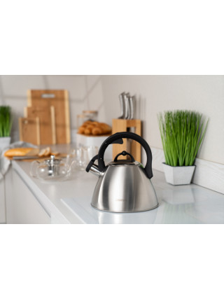 Чайник Ardesto Gemini 2,5 л., нержавіюча сталь
