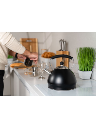 Чайник Ardesto Black Mars 3,0 л., нержавіюча сталь (чорний)