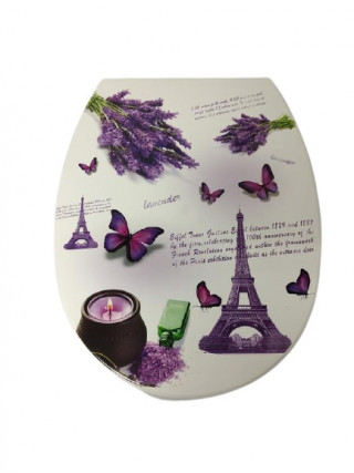 Сидіння на унітаз пластикове Elif Plastic з малюнком (Париж) 