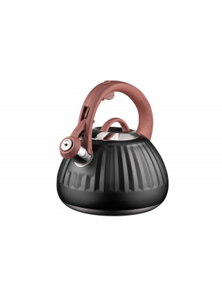 Чайник Ardesto Gemini, 2.5 л, чорний, нержавіюча сталь