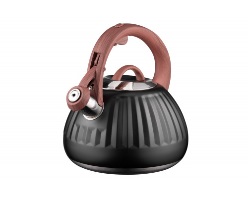 Чайник Ardesto Gemini, 2.5 л, чорний, нержавіюча сталь