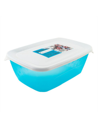 Контейнер для заморозки "Морозко" 1л, 224*148*58 мм