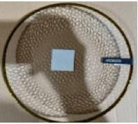 Тарілка Ardesto Dew, 21см, скло, прозорий