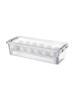 Контейнер для зберігання яєць Hobby life, 14*36.5*9 см *12