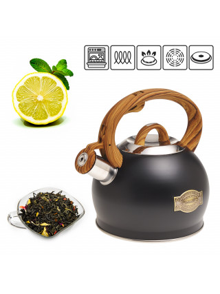 Чайник Kamille 2,0 л з нержавіючої сталі зі свистком і ручкою "soft touch" (чорний)